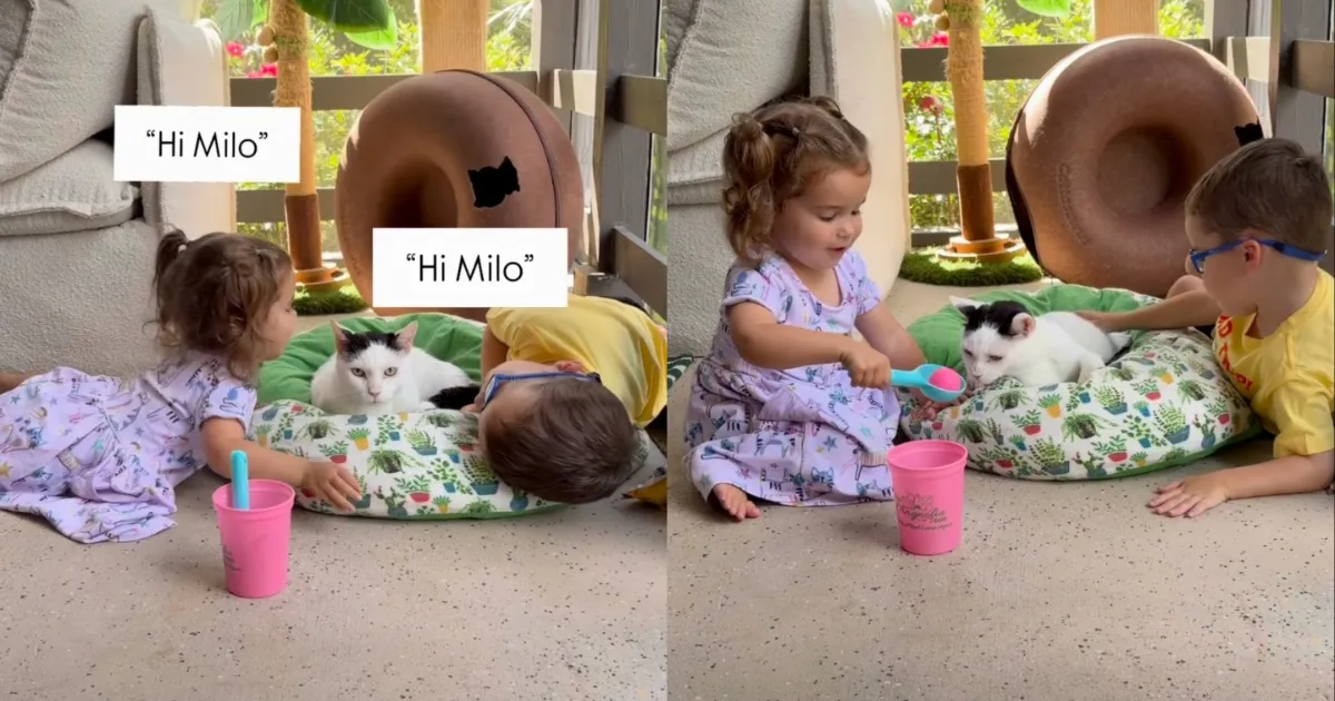 Toddlers Name Their Cat 'Favorite Friend' in a Moment of Pure, Gentle Respect