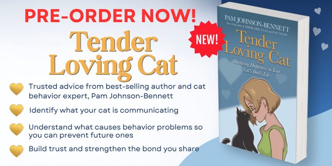 Your Cat Needs to Kill Something Every Day