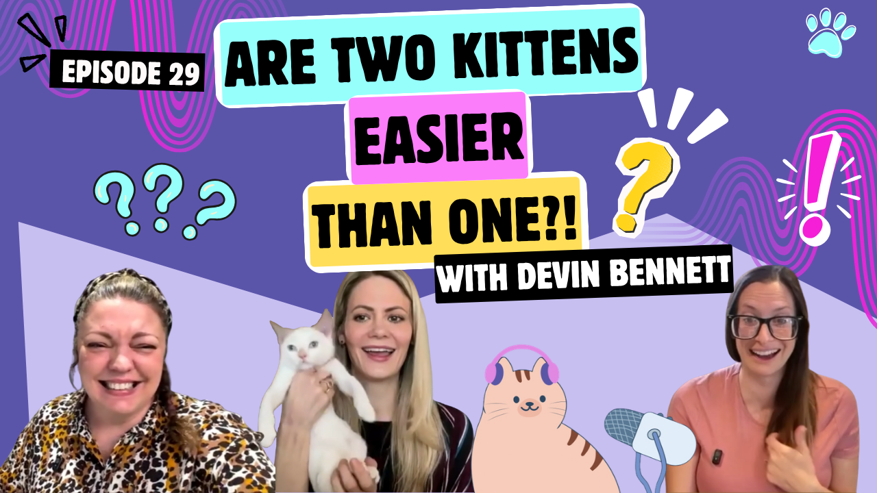 Two Kittens Are Easier Than One — and Other Truths From a One-Woman Rescue