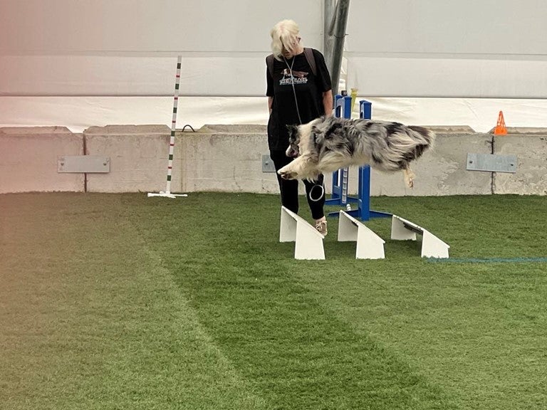 Agility Against All Odds: A Handler's Lung Disease Doesn't Stop Her Border Collie
