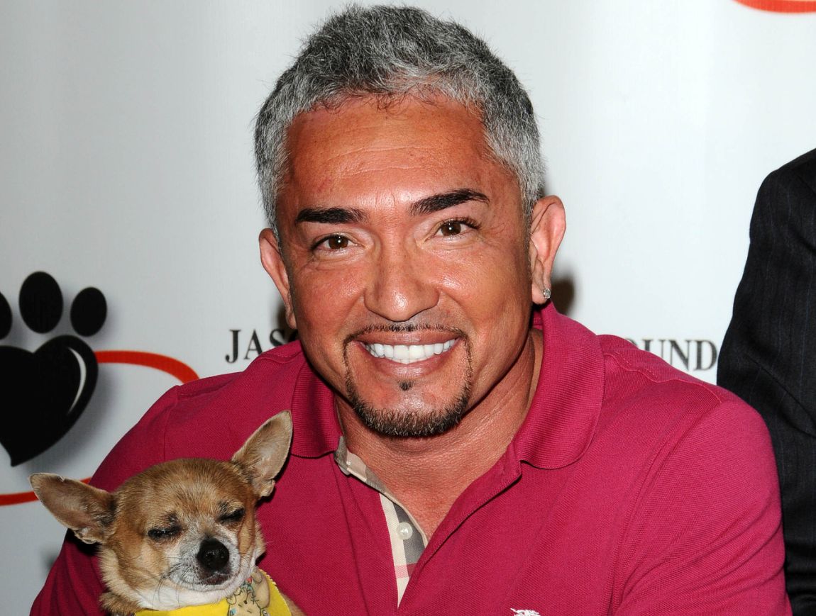 Cesar Millan's Training: A Behaviorist Answers Your Questions