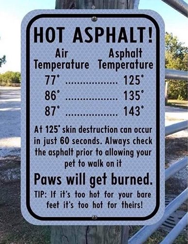 Warning paws on hot asphalt and sidewalks