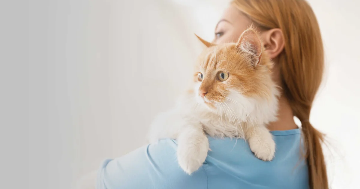 When Cats Age, Everything Connects — And Vets Are Rethinking How to Help