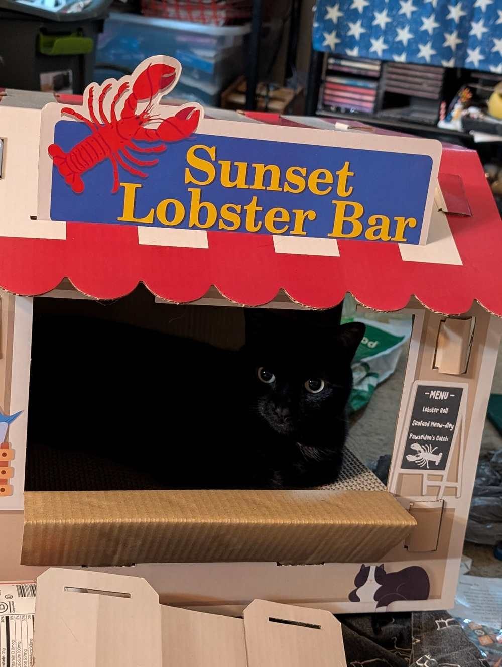 Frisco Coastal Lobster Restaurant Cardboard Cat House with Catnip