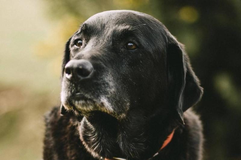 Mitchell-orr-rYHIvfMutvA-unsplash