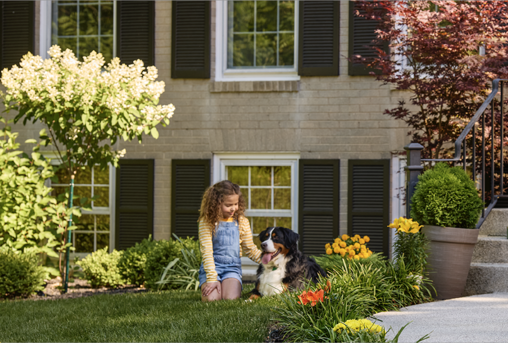Your Backyard Is an Enrichment Goldmine — Most Dogs Never Get to Dig In