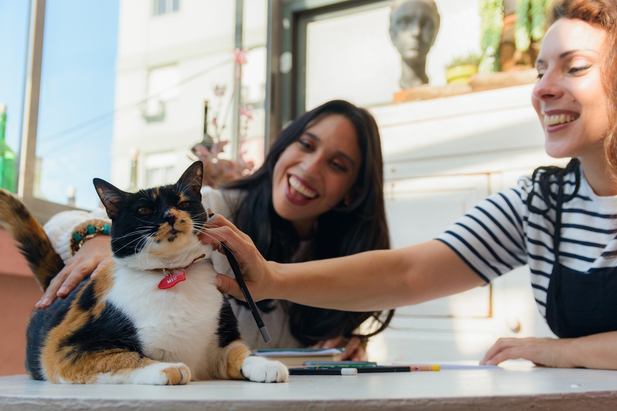 Adopting a Shelter Cat Isn't Just Kind—It's Practical