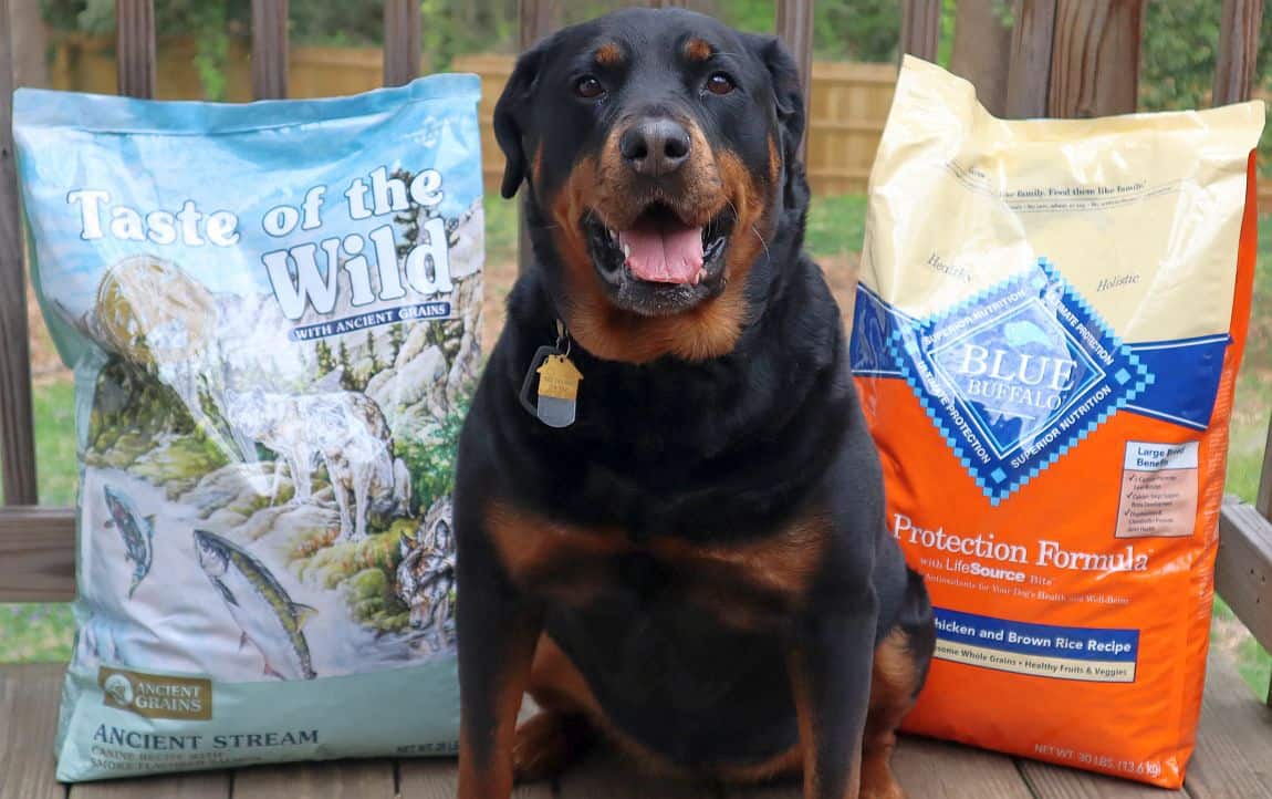 Head-to-Head: Taste of the Wild vs Blue Buffalo Dog Food