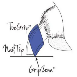 How toegrips work