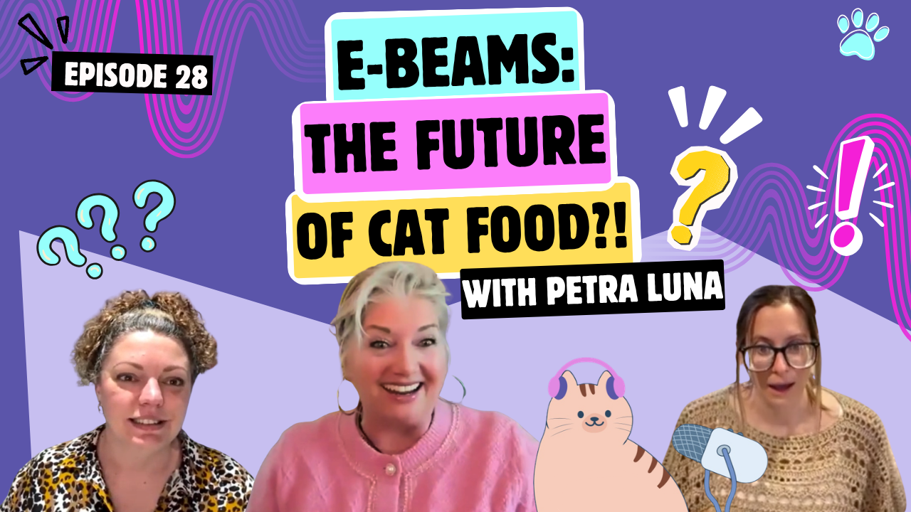 Your Cat Is a Carnivore. So Why Does Most Cat Food Read Like a Grain Aisle?