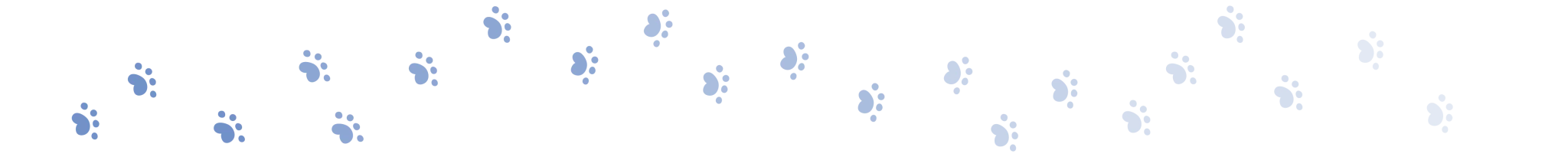 Divider cat paws 2 oct 2024